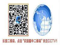 江苏豆丁文化传媒有限公司
