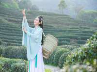 江苏豆丁文化传媒有限公司
