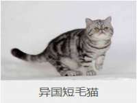 江苏豆丁文化传媒有限公司