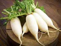 江苏豆丁文化传媒有限公司