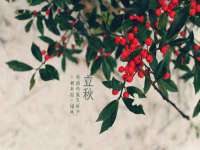 江苏豆丁文化传媒有限公司