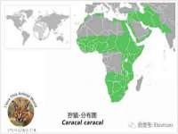 江苏豆丁文化传媒有限公司