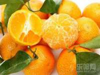 江苏豆丁文化传媒有限公司