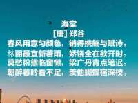 江苏豆丁文化传媒有限公司