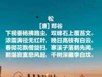 江苏豆丁文化传媒有限公司