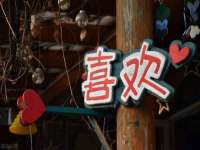 江苏豆丁文化传媒有限公司