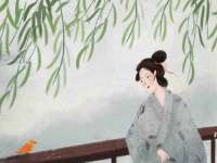 江苏豆丁文化传媒有限公司
