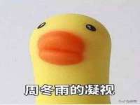 江苏豆丁文化传媒有限公司